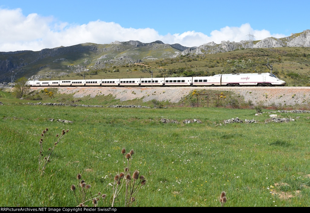 RENFE 130 041